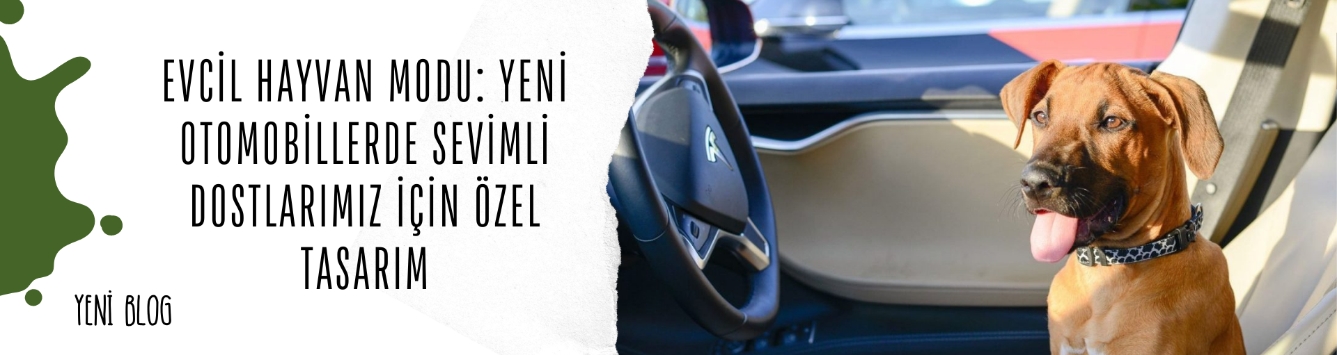 Evcil Hayvan Modu: Yeni Otomobillerde Sevimli Dostlarımız İçin Özel Tasarım